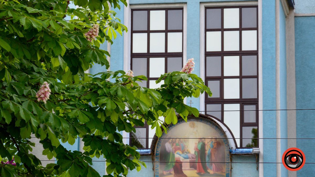 Травневий бульвар: як у Коломиї цвітуть каштани? 11