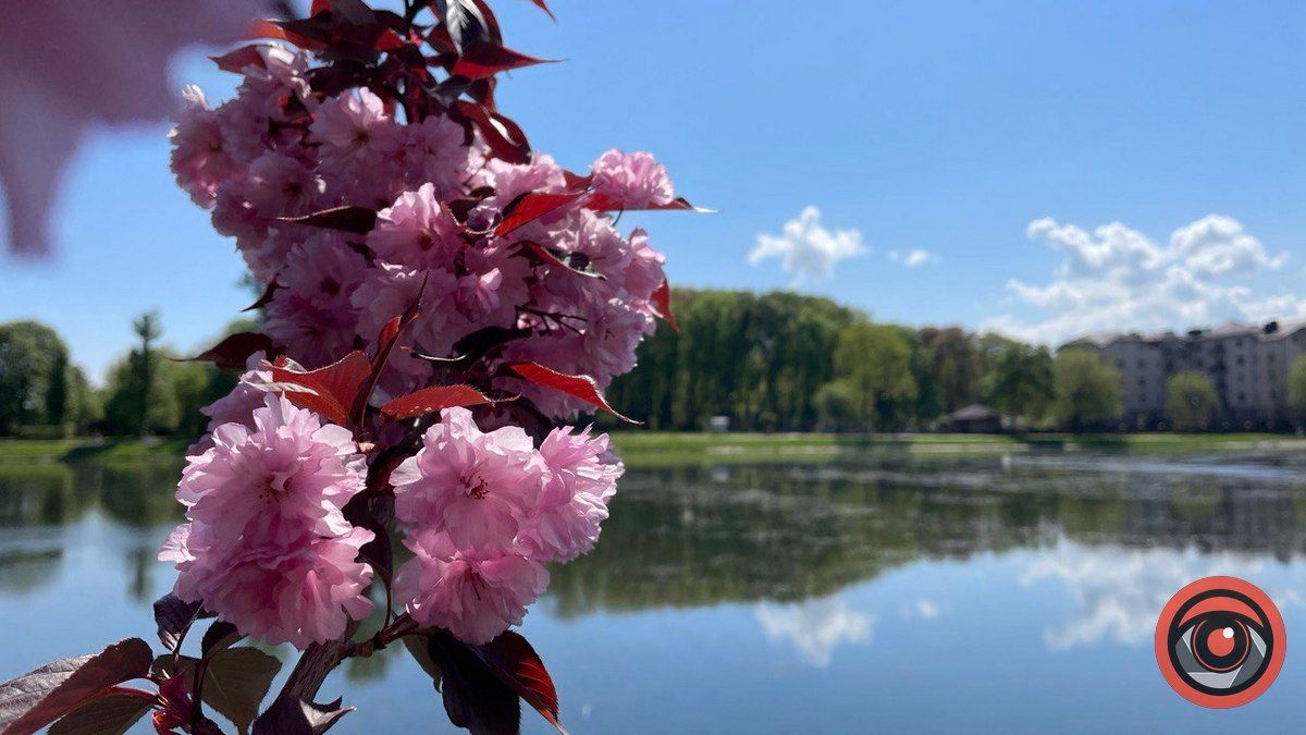 Хмарно, але тепло: недільний прогноз погоди для Коломиї