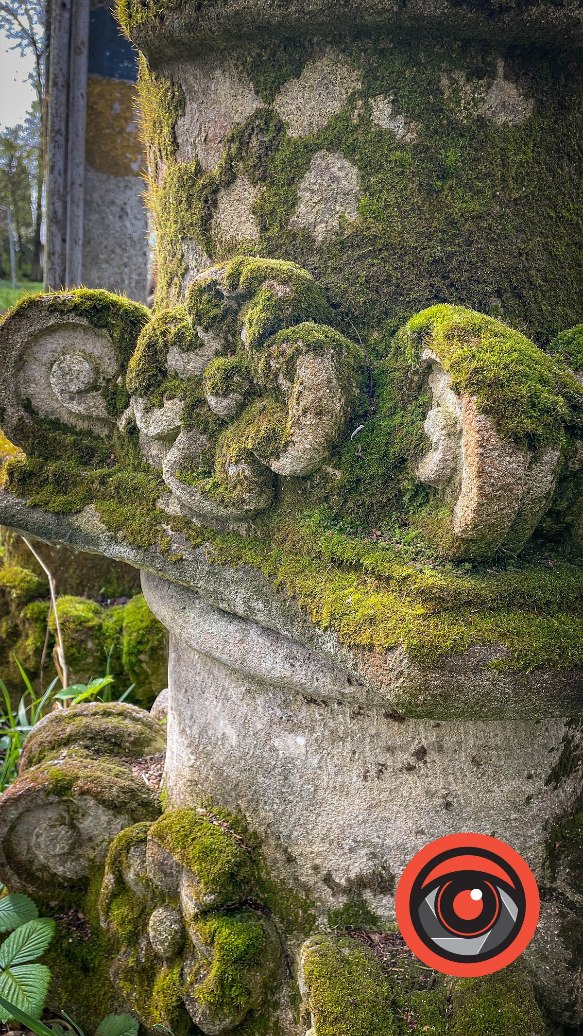 Фотоекскурсія у Музей Квітки Цісик, що в селі Ліски 3
