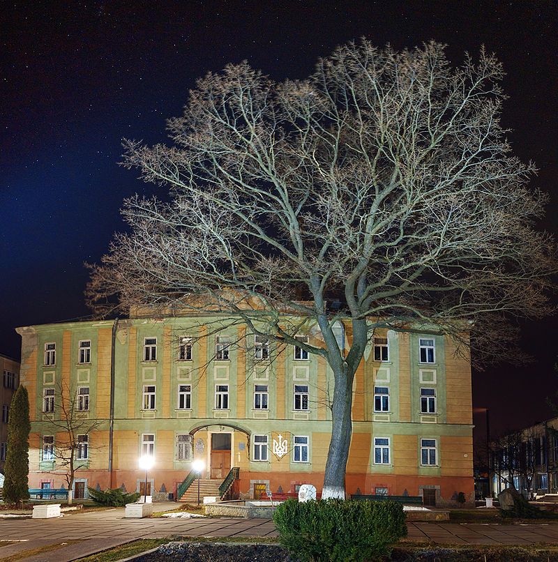 м. Стрий, вул. Гайдамацька, 15