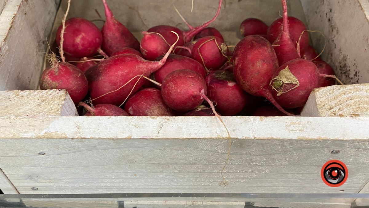 Яка вартість популярних овочів та фруктів у Коломиї? 15