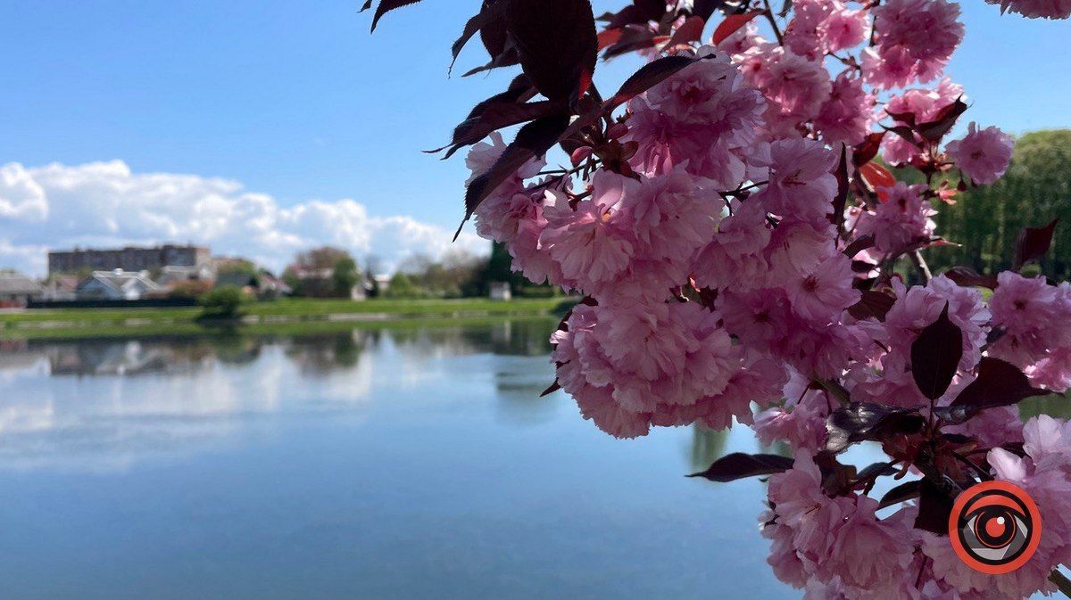 Знову сонячний день очікує коломиян 23 травня