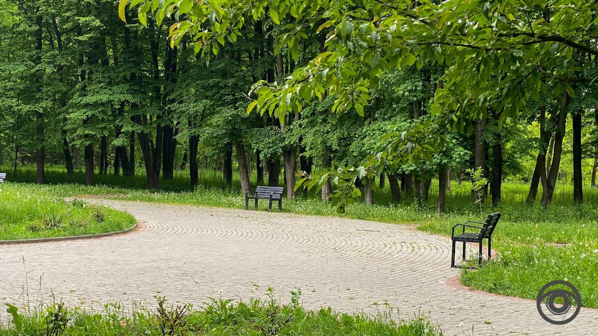 Перед дощем: фоторепортаж парку імені Шевченка у Коломиї 22