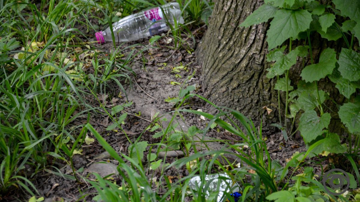 Перед дощем: фоторепортаж парку імені Шевченка у Коломиї 13