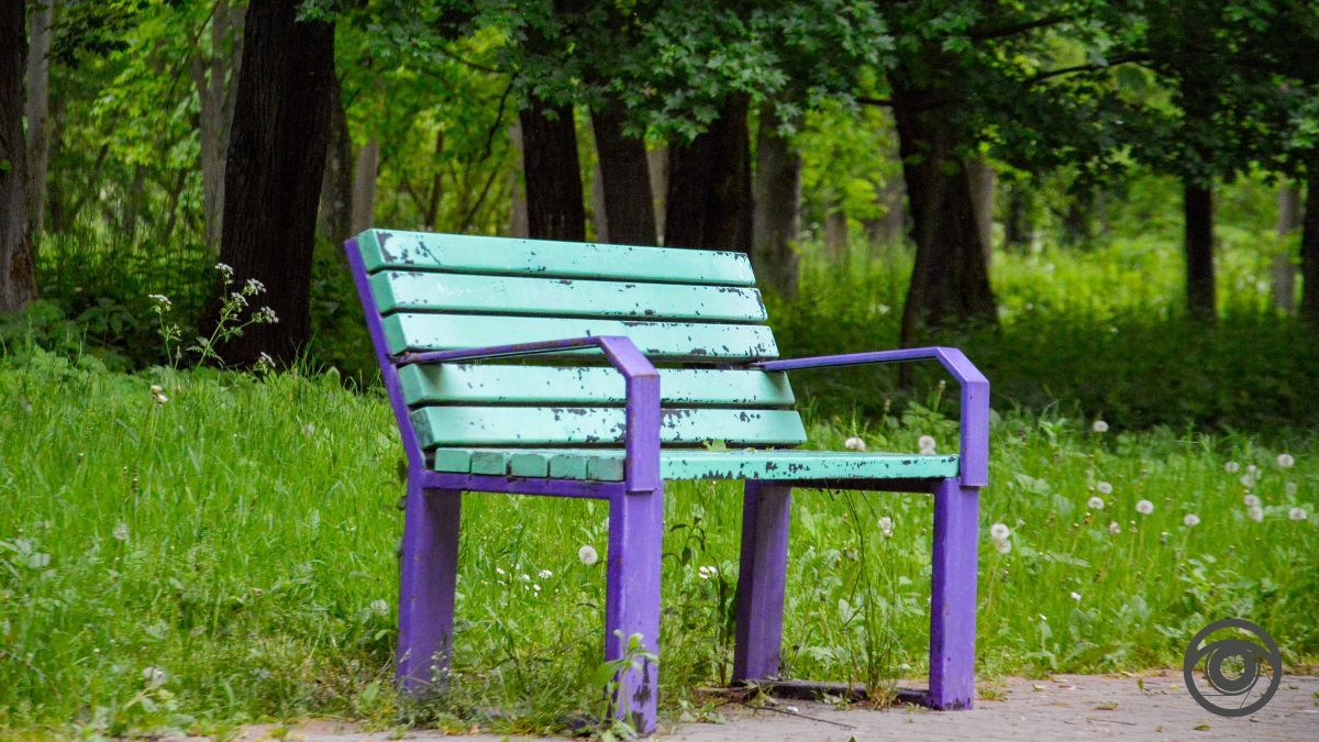 Перед дощем: фоторепортаж парку імені Шевченка у Коломиї 9