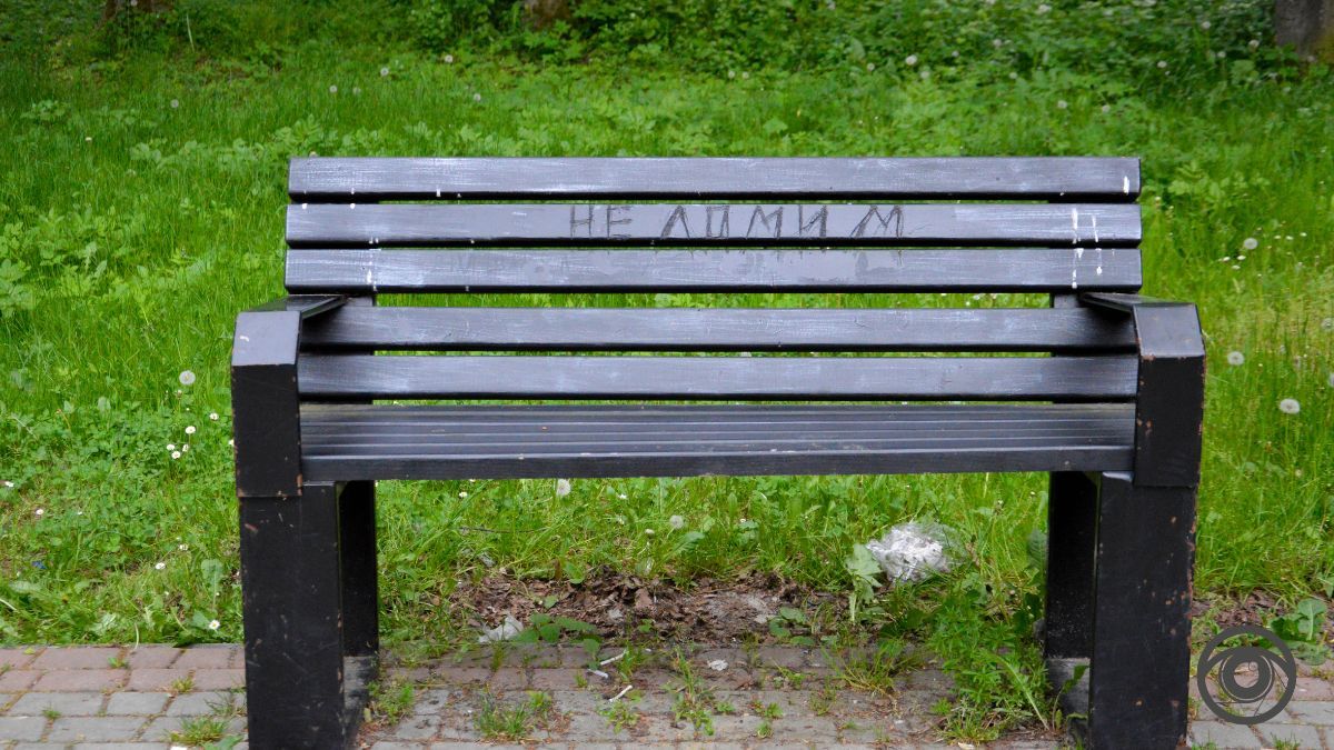 Перед дощем: фоторепортаж парку імені Шевченка у Коломиї 7