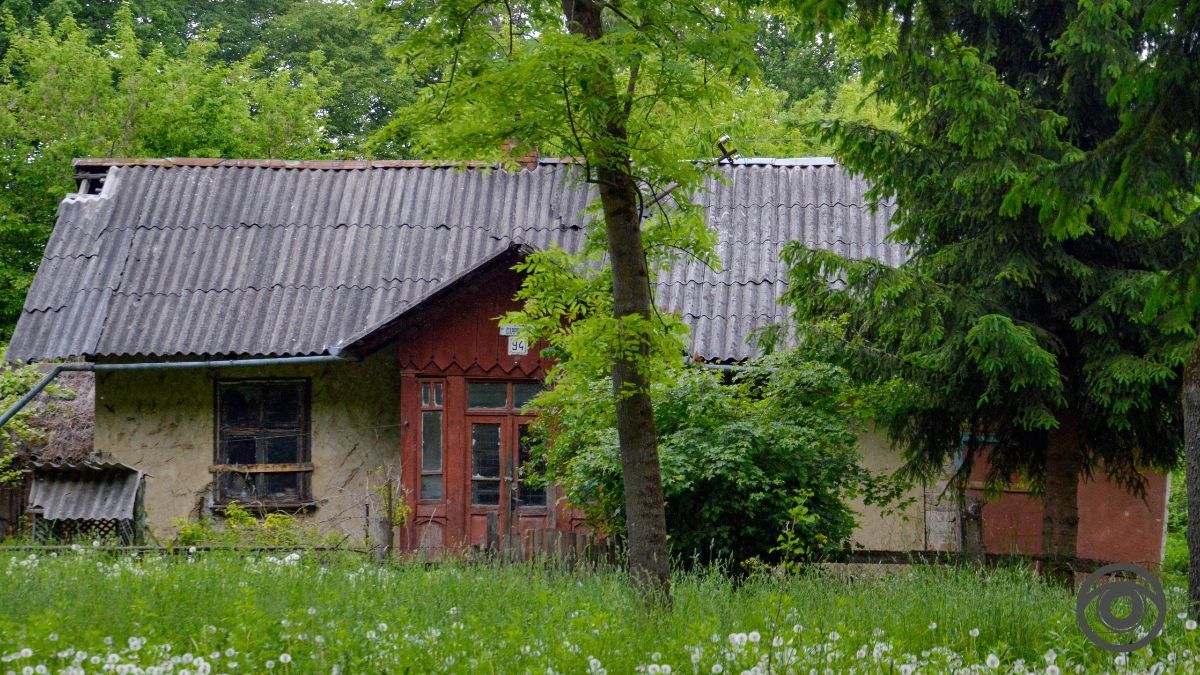 Перед дощем: фоторепортаж парку імені Шевченка у Коломиї 5