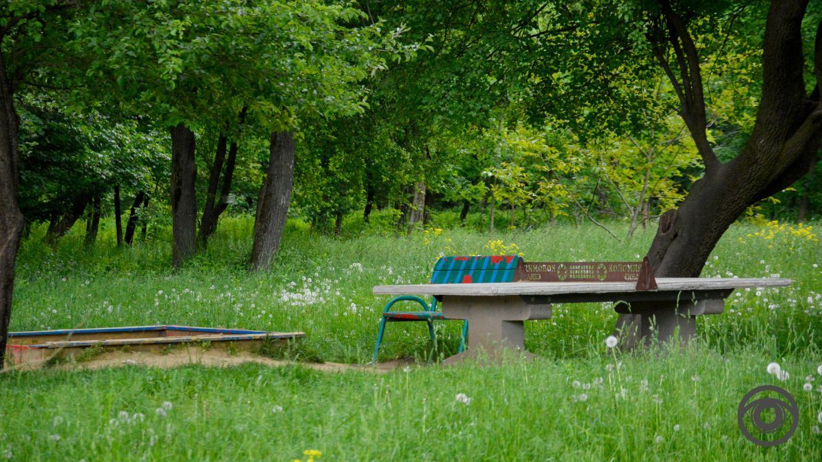 Перед дощем: фоторепортаж парку імені Шевченка у Коломиї 4