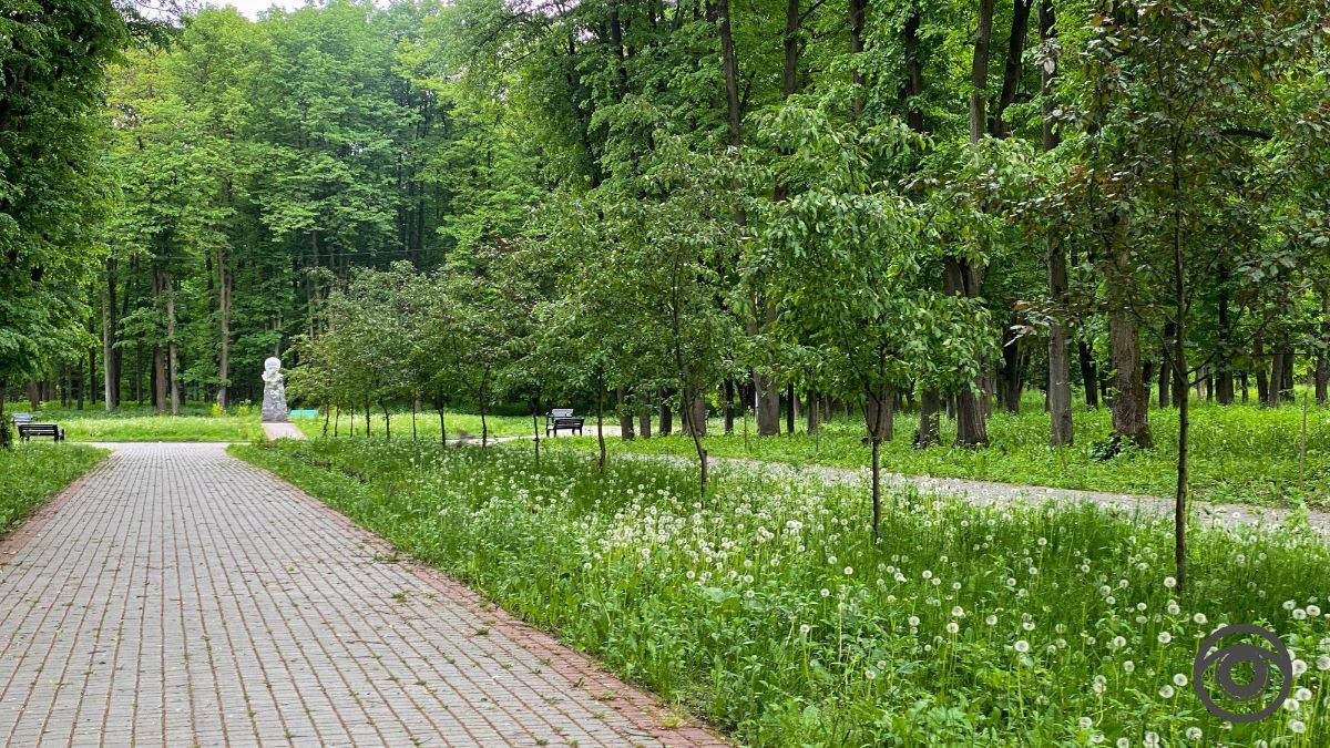 Перед дощем: фоторепортаж парку імені Шевченка у Коломиї 19