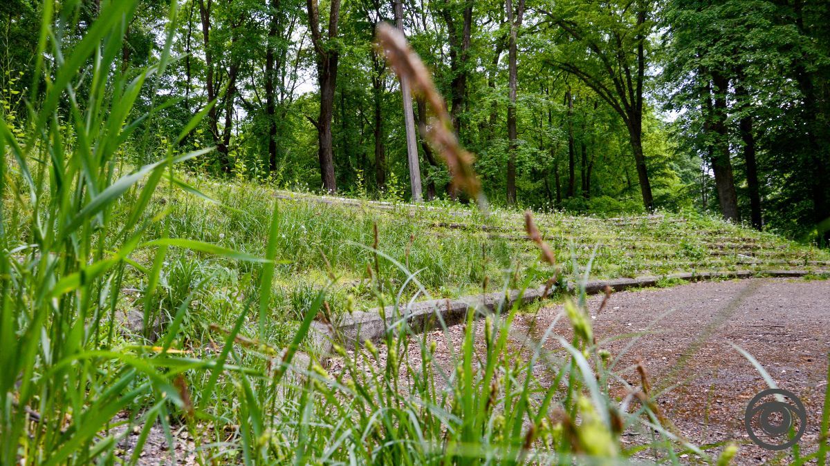 Перед дощем: фоторепортаж парку імені Шевченка у Коломиї 15