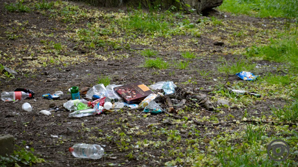 Перед дощем: фоторепортаж парку імені Шевченка у Коломиї 14