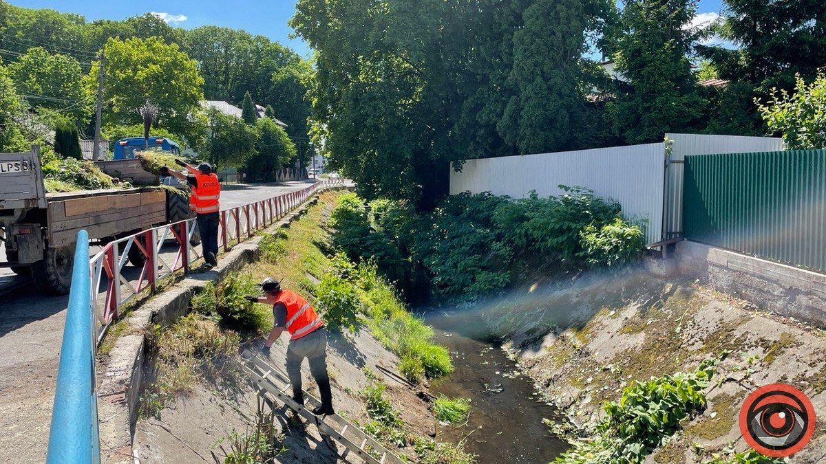 Гірше людей: як коломияни поводяться в річкою Радилівкою 1