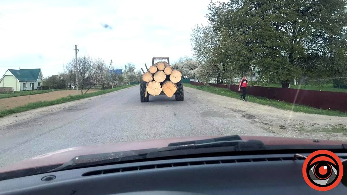 Коломиянин викликав поліцію, підозрюючи лісника Саджавки у незаконній вирубці дерев 2