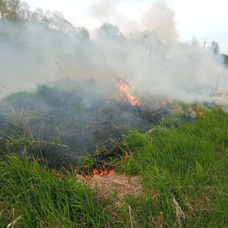 На Коломийщині гасили займання сухої трави 1