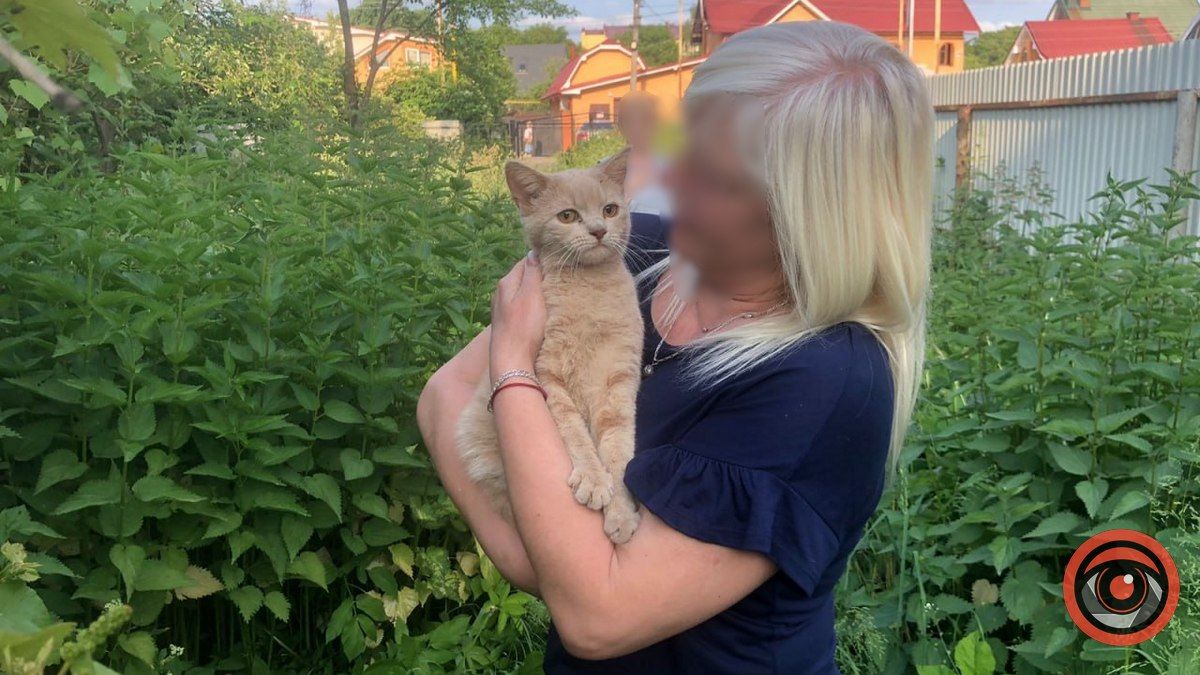 У Коломиї кіт видерся на дерево: викликали рятувальників 1