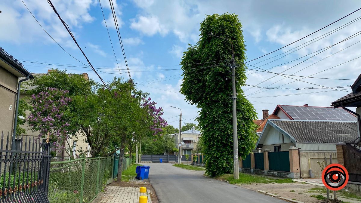 Справді європейська: 380 м вулиці Шопена у Коломиї 7