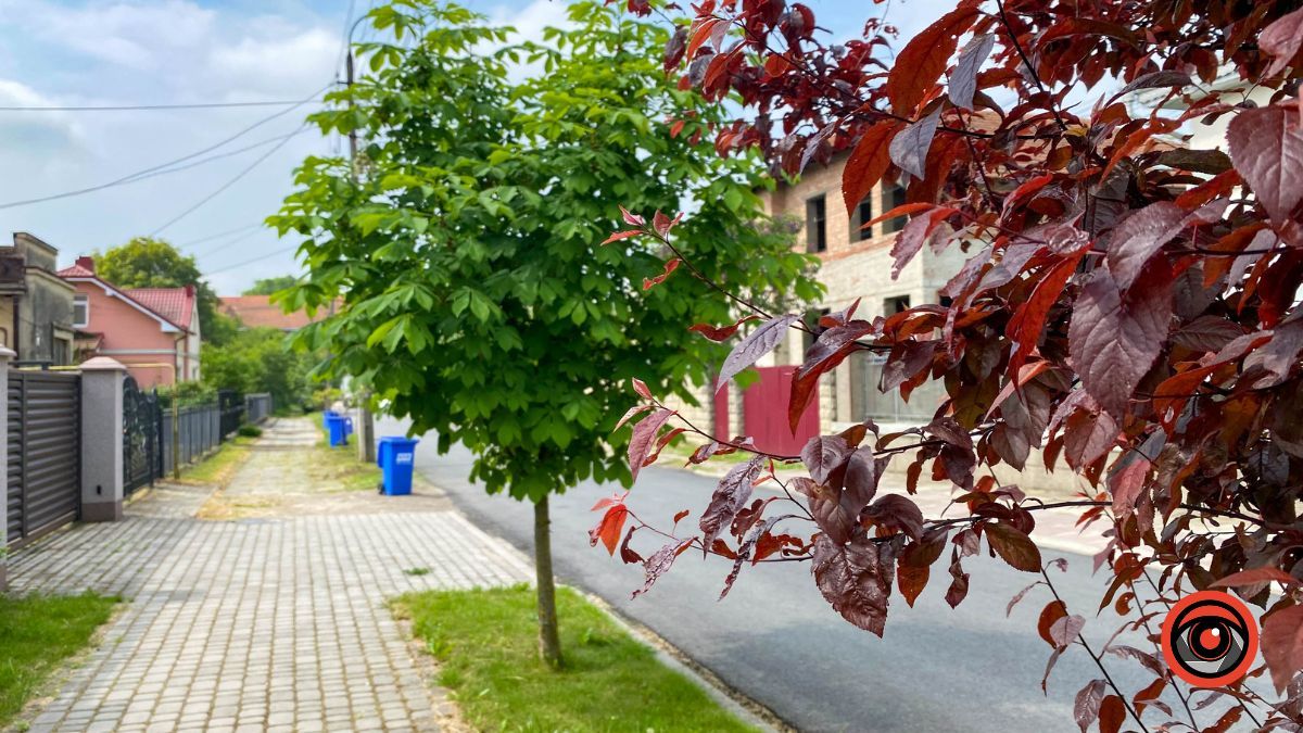 Справді європейська: 380 м вулиці Шопена у Коломиї 17