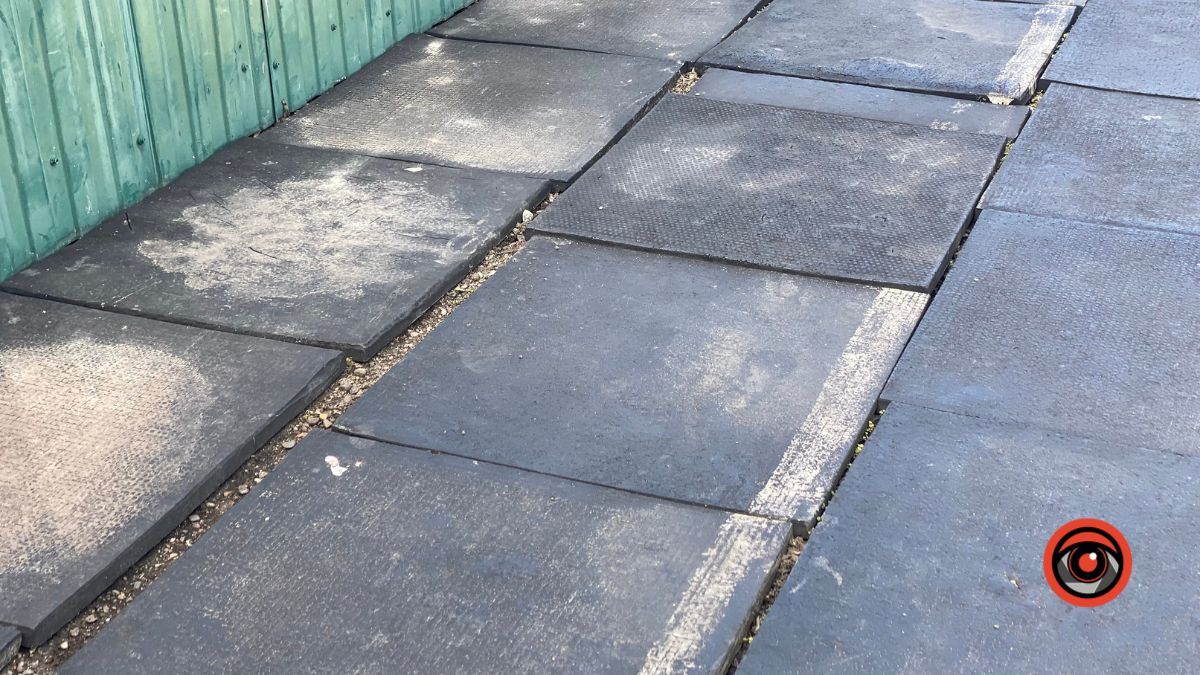 Де у Коломиї можна побігати? 11