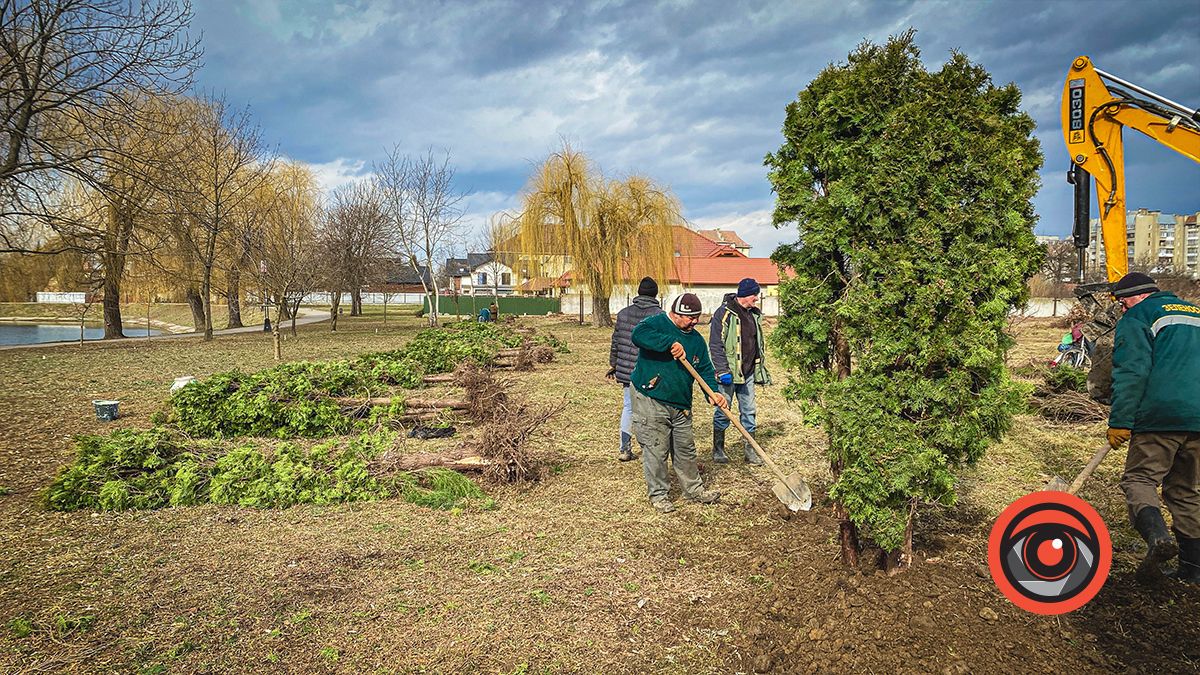 посадка туй на міському озері в Коломиї, 8 березня 2023 року