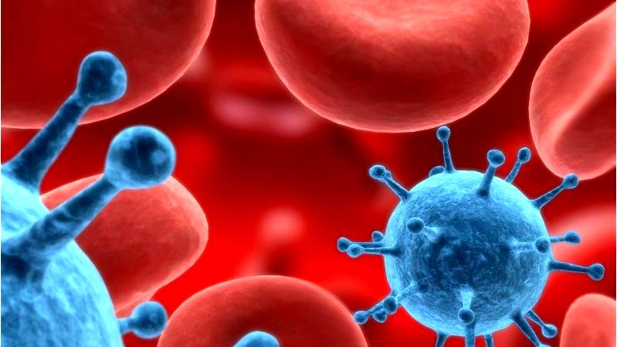 Не тільки День вишиванки: що ще відзначають в Україні та світі? 4