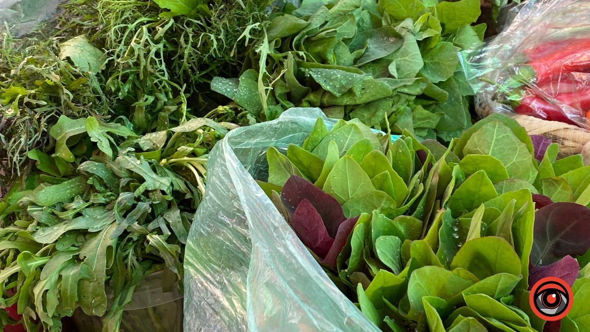 Які ціни на зелень у Коломиї 3