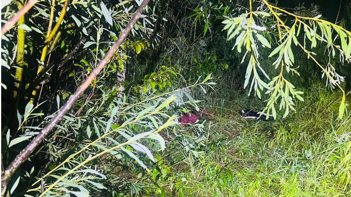 Стали відомі деталі вбивства 9-річної дівчинки з Косівщини 2