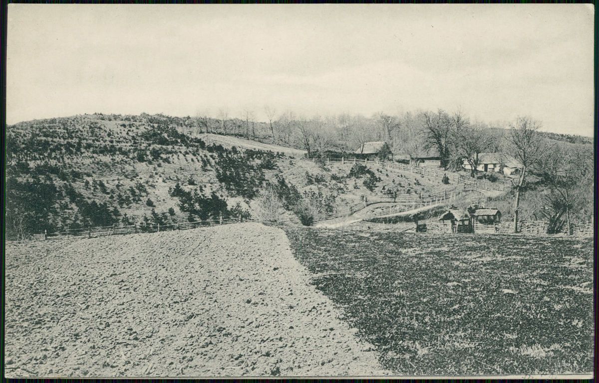 Неймовірна історія Печеніжина: печеніги, ратуша, нафтові магнати, джерела ропи і сьогодення 8