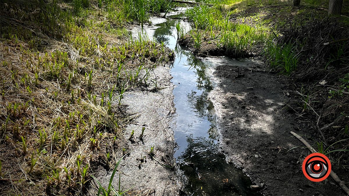 Каналізаційна ріка: на вулиці Довбуша критична ситуація з Млинівкою. Чи є просвіток? 6