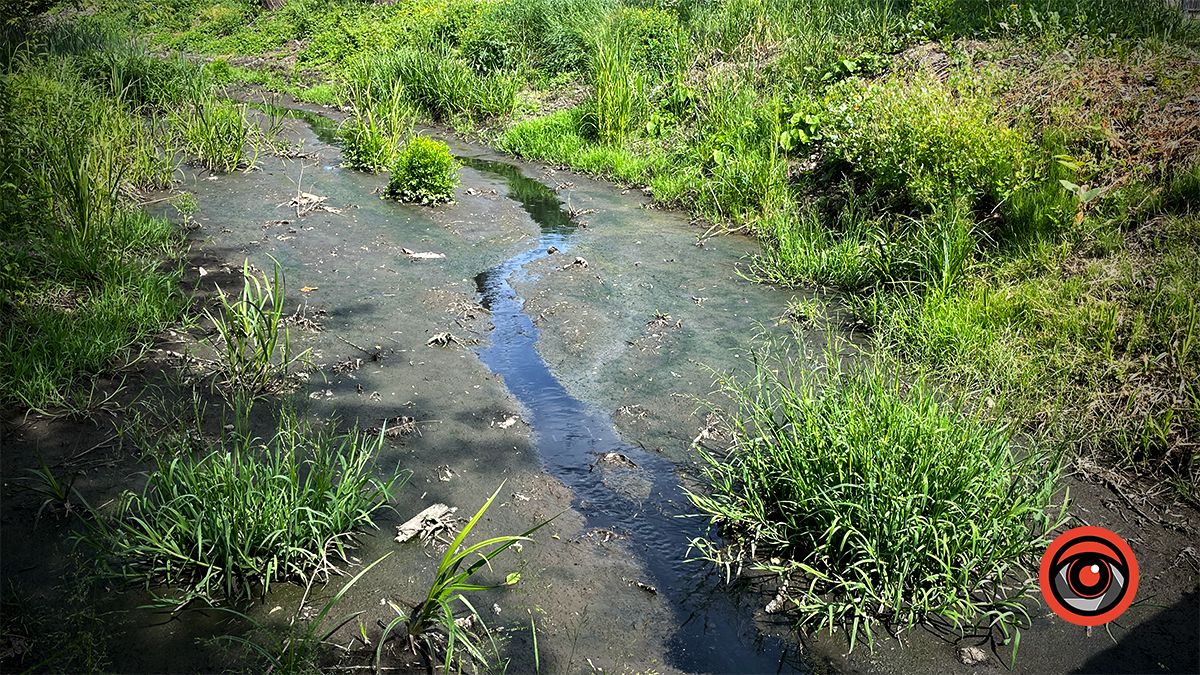 р. Млинівка, травень 2023 року