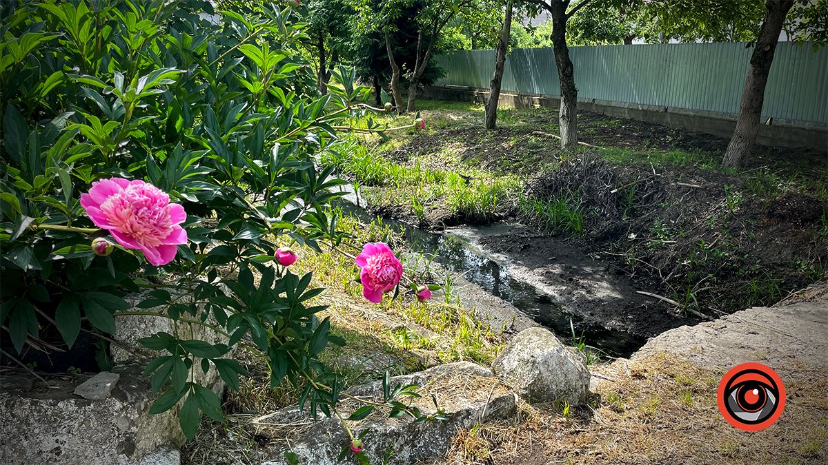 Каналізаційна ріка: на вулиці Довбуша критична ситуація з Млинівкою. Чи є просвіток? 3