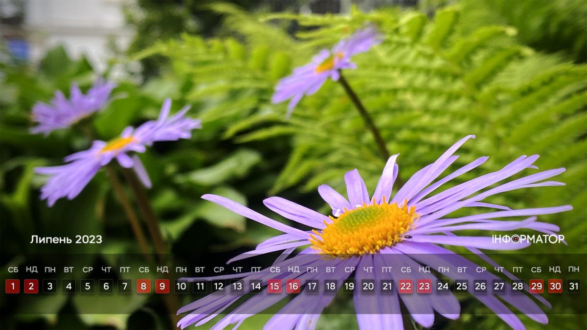 Календар на липень-2023 від Інформатора 4