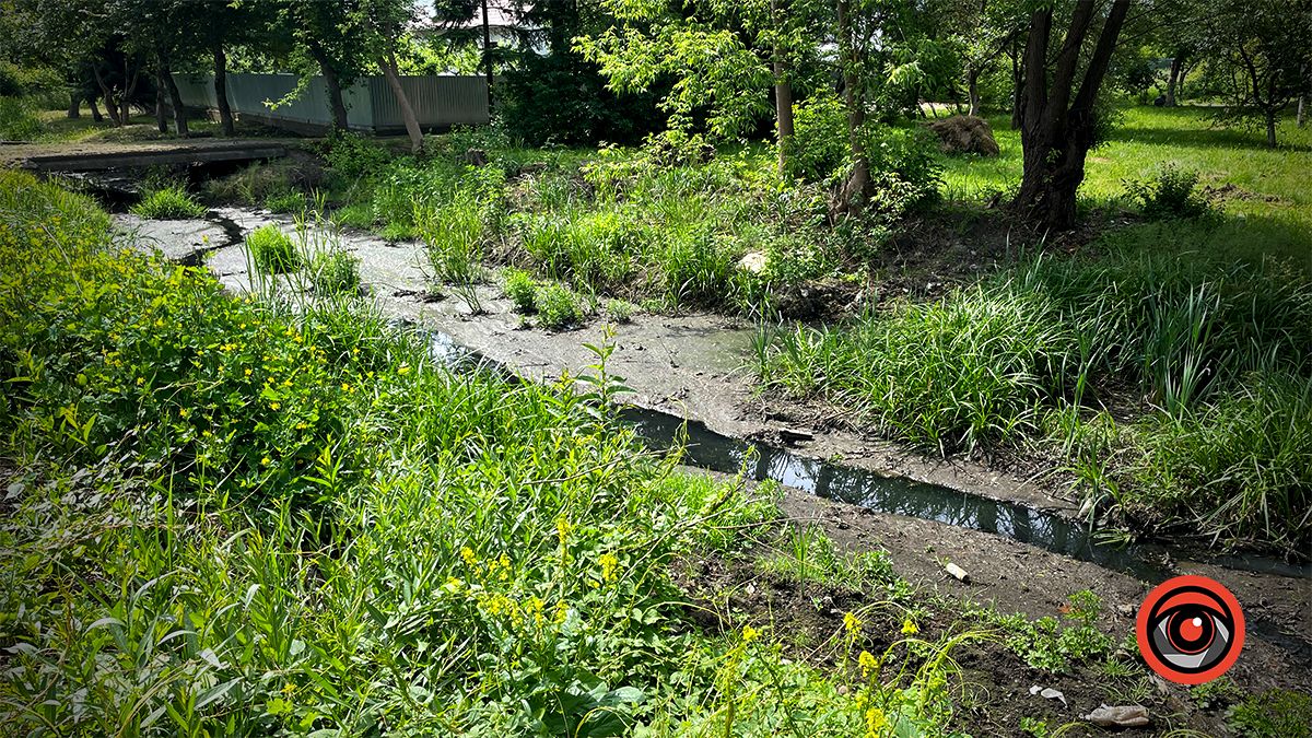 Каналізаційна ріка: на вулиці Довбуша критична ситуація з Млинівкою. Чи є просвіток? 7