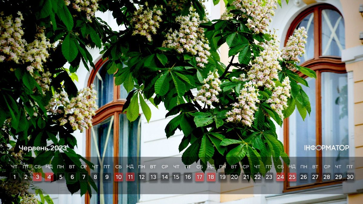 Прикрашаємо робочий стіл | календар на червень 2023 1