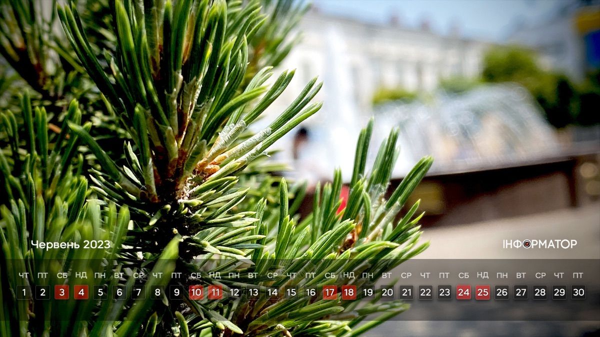 Прикрашаємо робочий стіл | календар на червень 2023 7