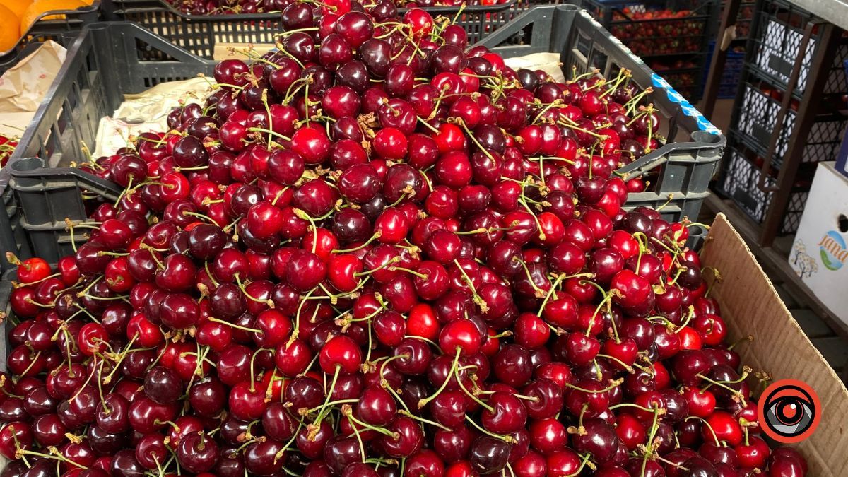 Скільки коштує черешня в Коломиї? 4