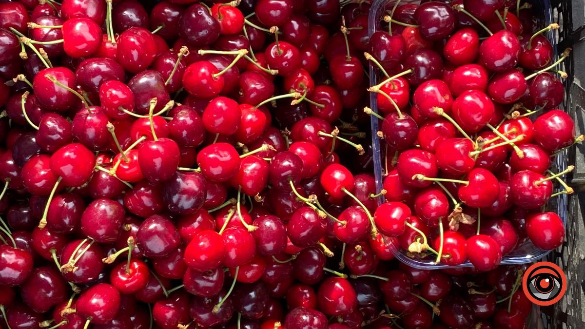 Скільки коштує черешня в Коломиї? 6