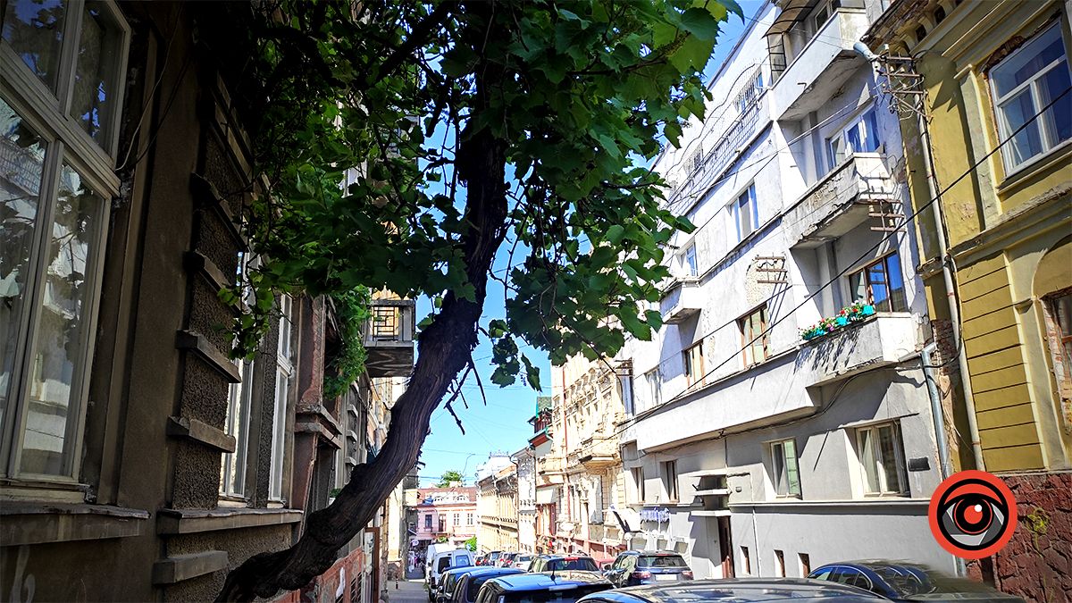 Мандруємо разом: загадкові й контрастні Чернівці 27