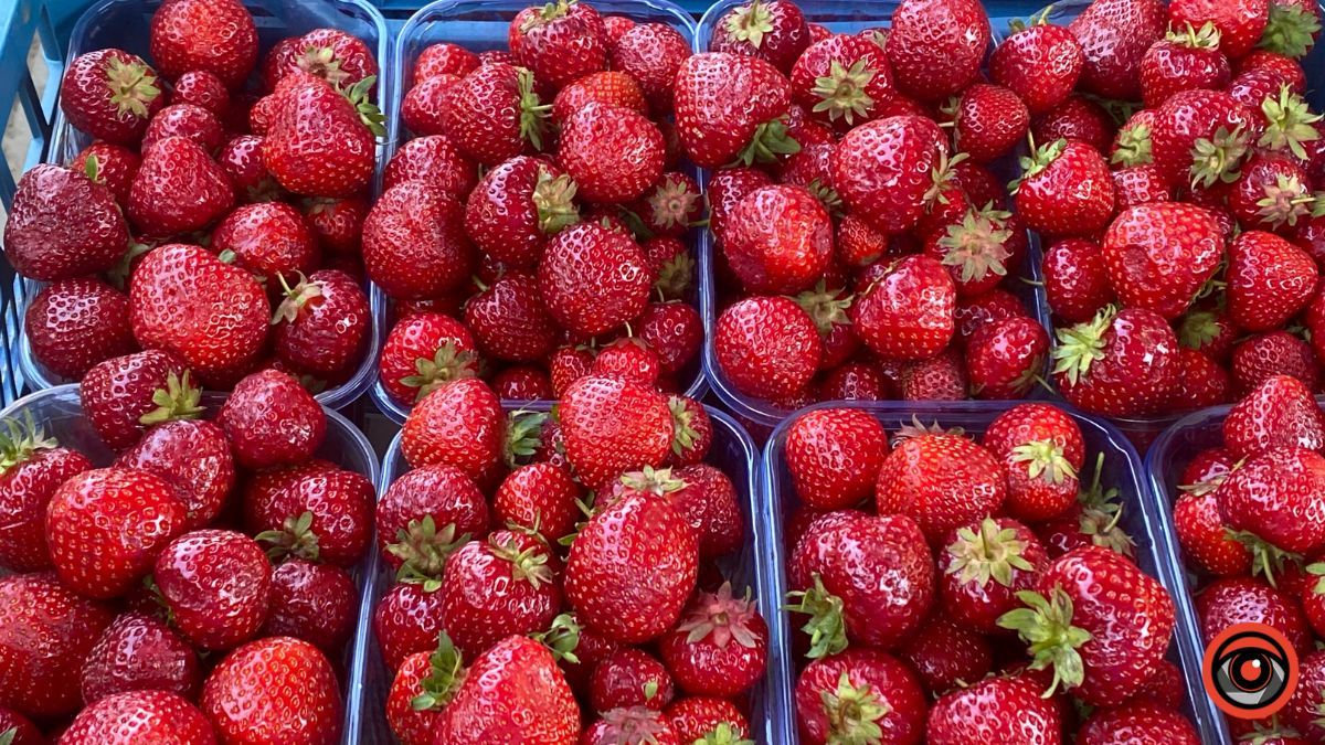 Яка вартість фруктів та ягід на коломийському базарі 4