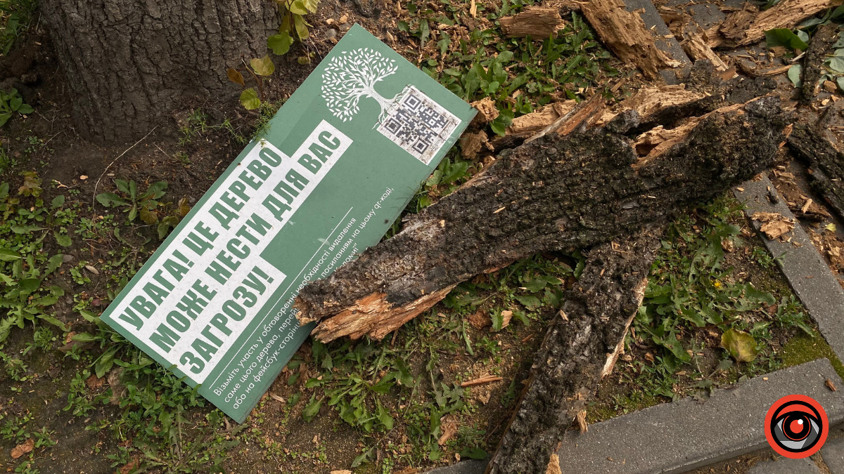 На бульварі Лесі Українки аварійне дерево впало на дорогу 1