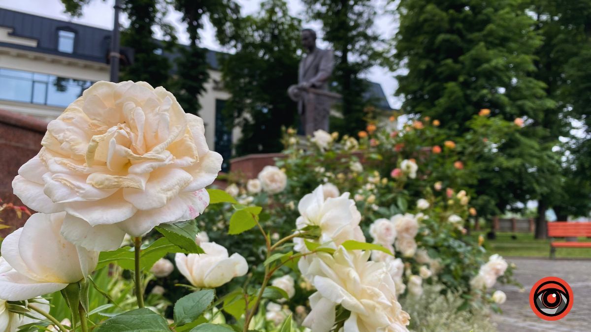 Якою буде погода в Коломиї 5 липня