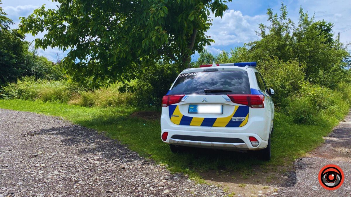 На вулиці Довбуша в Коломиї авто злетіло у кювет 4