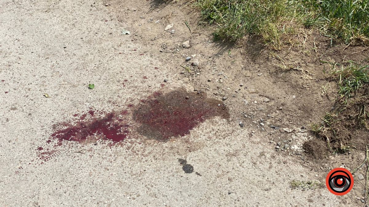 У приватному секторі Коломиї перекинувся навантажувач 1