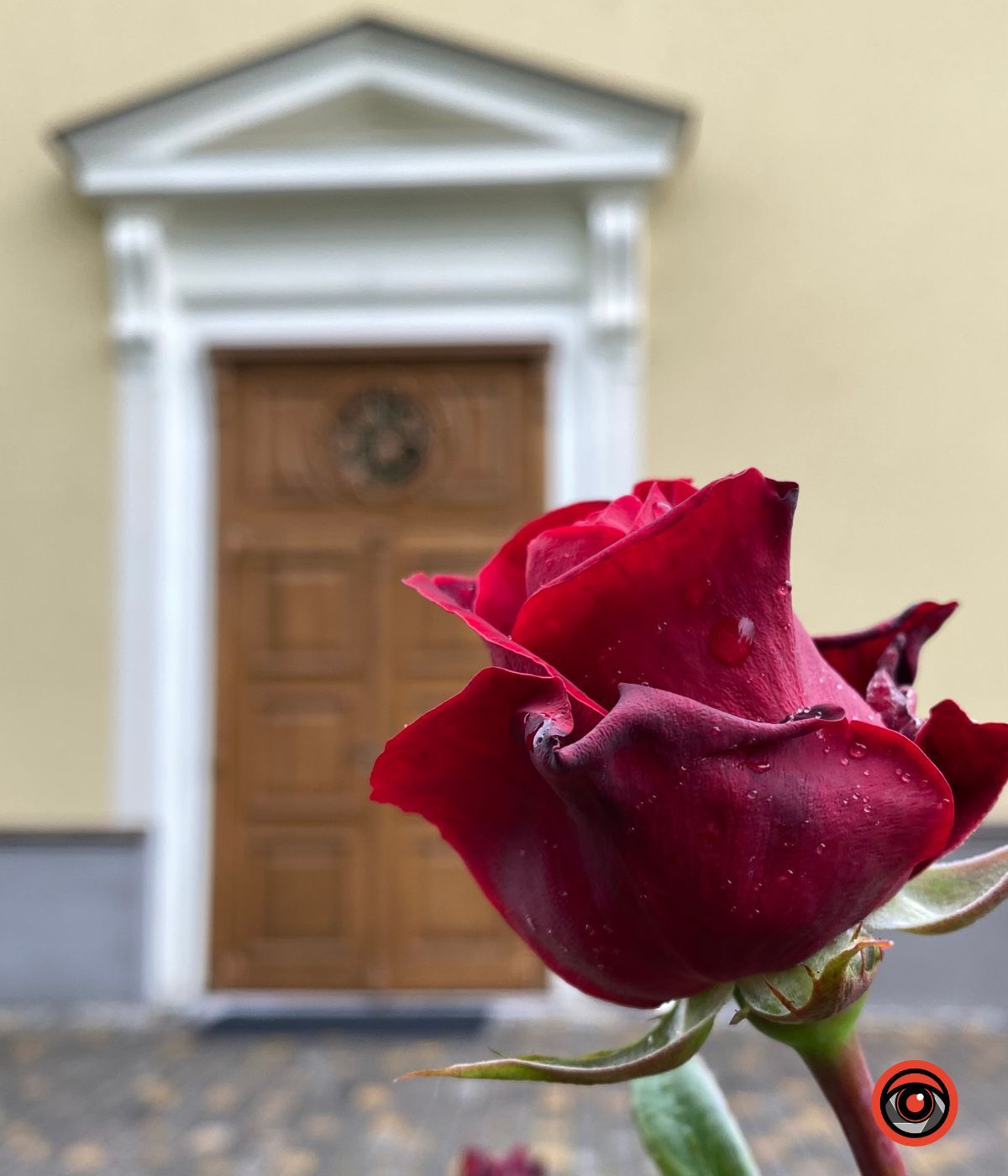 Трояндова Коломия | Фоторепортаж 26