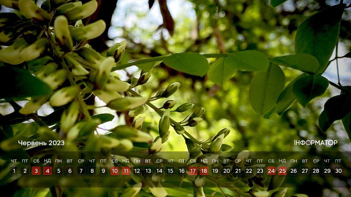 Прикрашаємо робочий стіл | календар на червень 2023 9