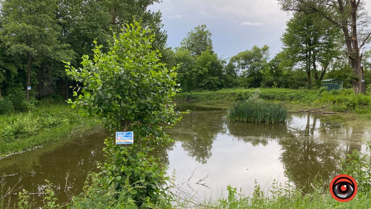 У селі П'ядики громада бореться з місцевим підприємцем і депутатом за ставки 7
