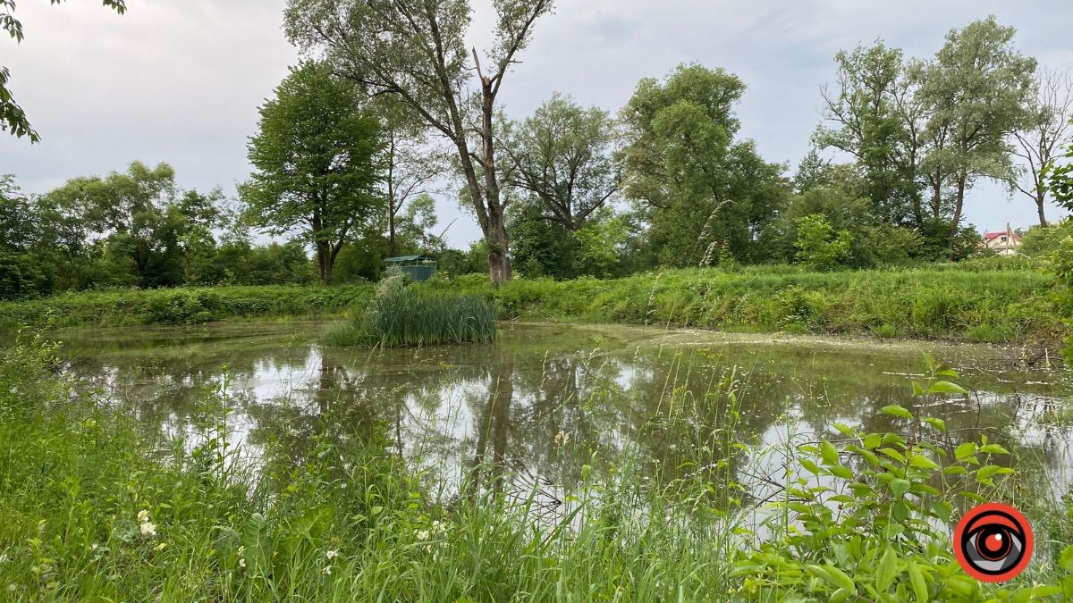 У селі П'ядики громада бореться з місцевим підприємцем і депутатом за ставки 4