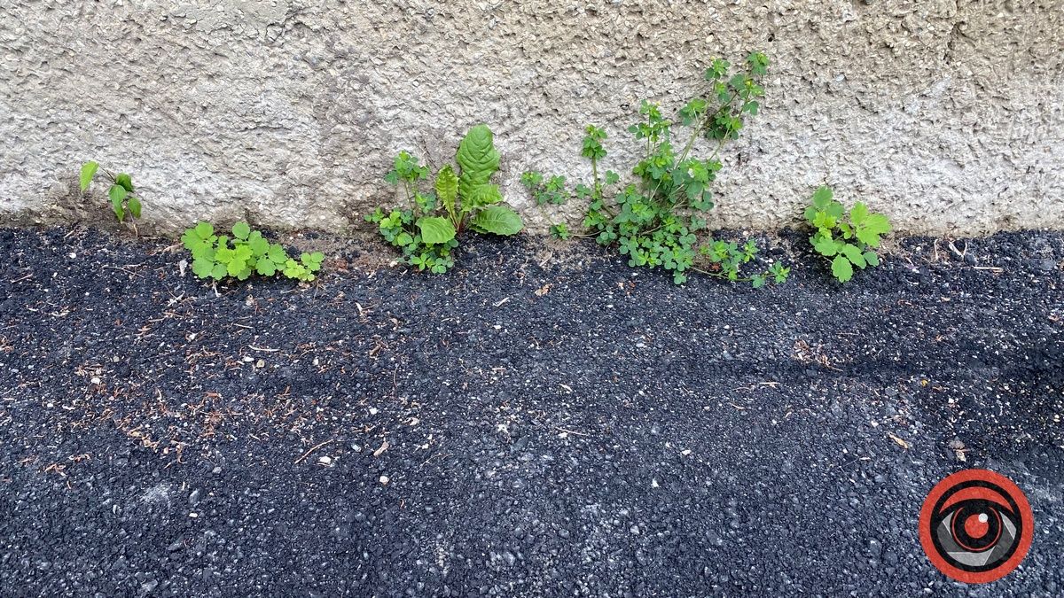 Мешканці Січових Стрільців та Лисенка скаржаться на якість відремонтованих прибудинкових територій 2