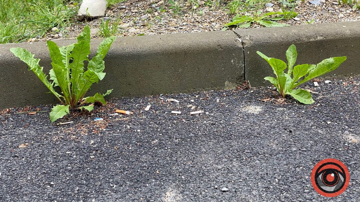 Мешканці Січових Стрільців та Лисенка скаржаться на якість відремонтованих прибудинкових територій 7