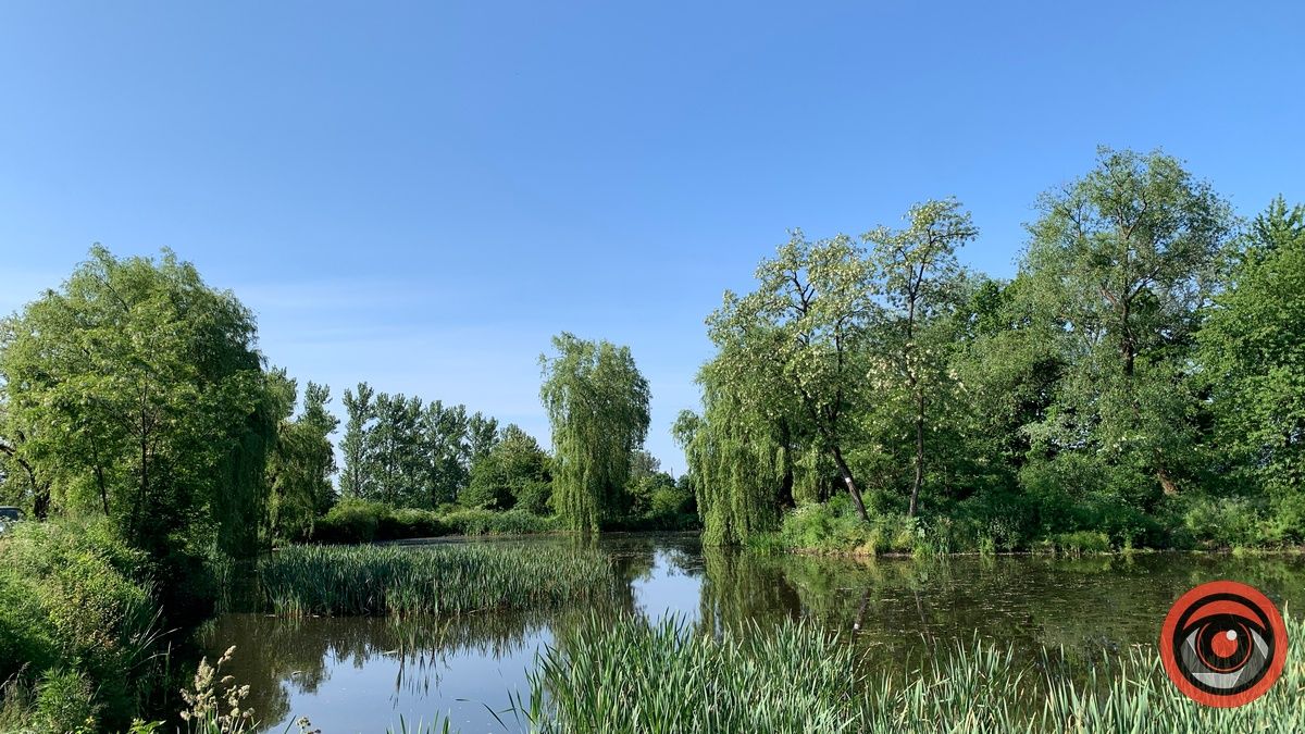 Медова долина у П'ядиках: зелене місце для активного відпочинку з дітьми 2