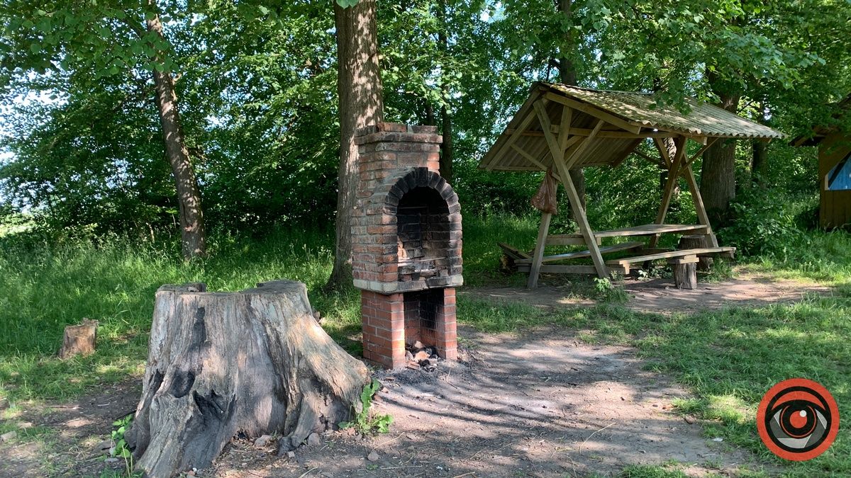 Медова долина у П'ядиках: зелене місце для активного відпочинку з дітьми 6